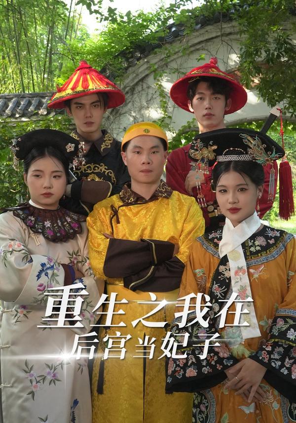 重生之我在后宫当妃子