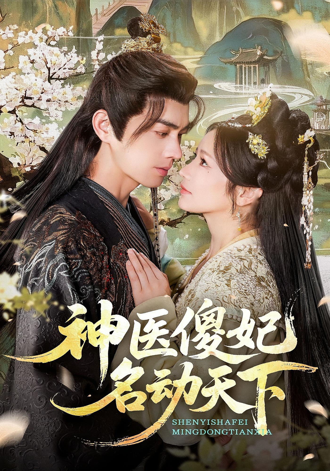 神医傻妃名动天下