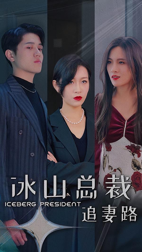 冰山总裁追妻路