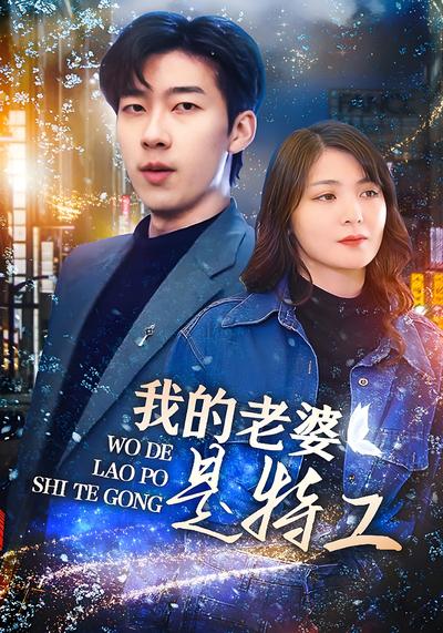 我的老婆是特工