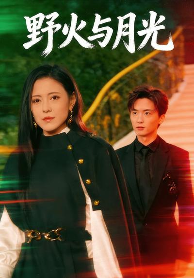 野火与月光