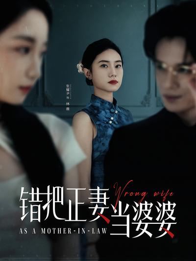 错把正妻当婆婆
