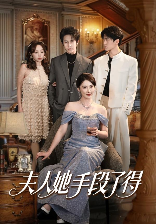 短剧夫人她手段了得海报