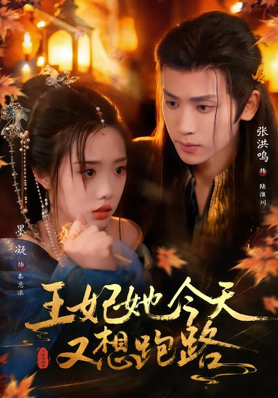 王妃她今天又想跑路 - 在线观看