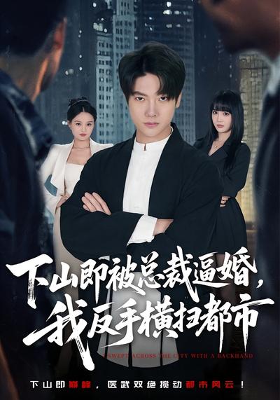 下山即被总裁逼婚，我反手横扫都市