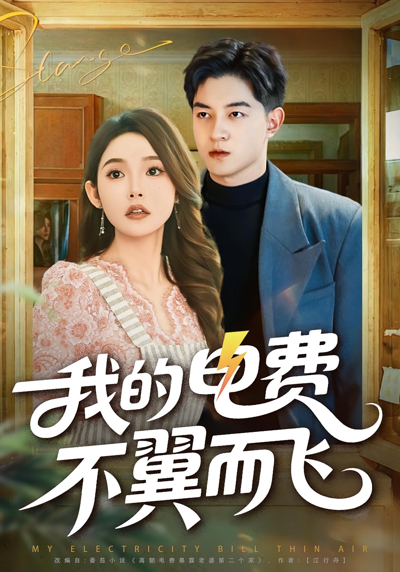 我的电费不翼而飞