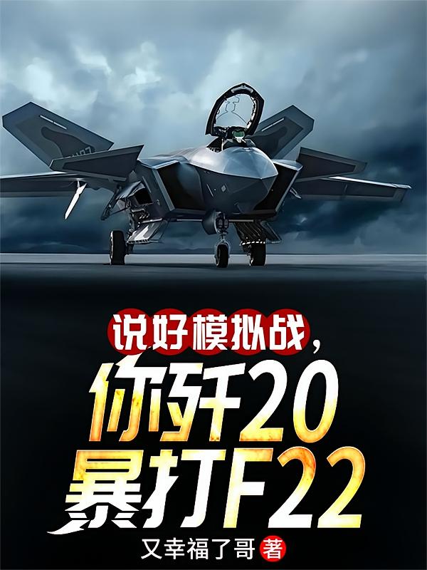 说好模拟战，你歼20暴打F22