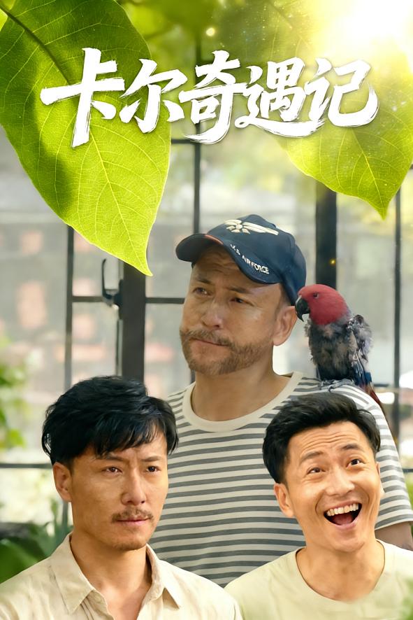 卡尔奇遇记