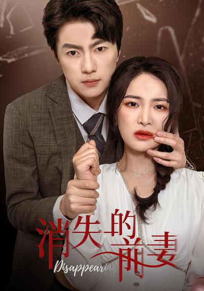 消失的前妻