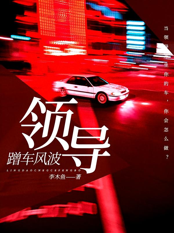 领导蹭车风波
