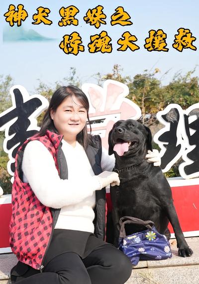 神犬黑妹之惊魂大援救
