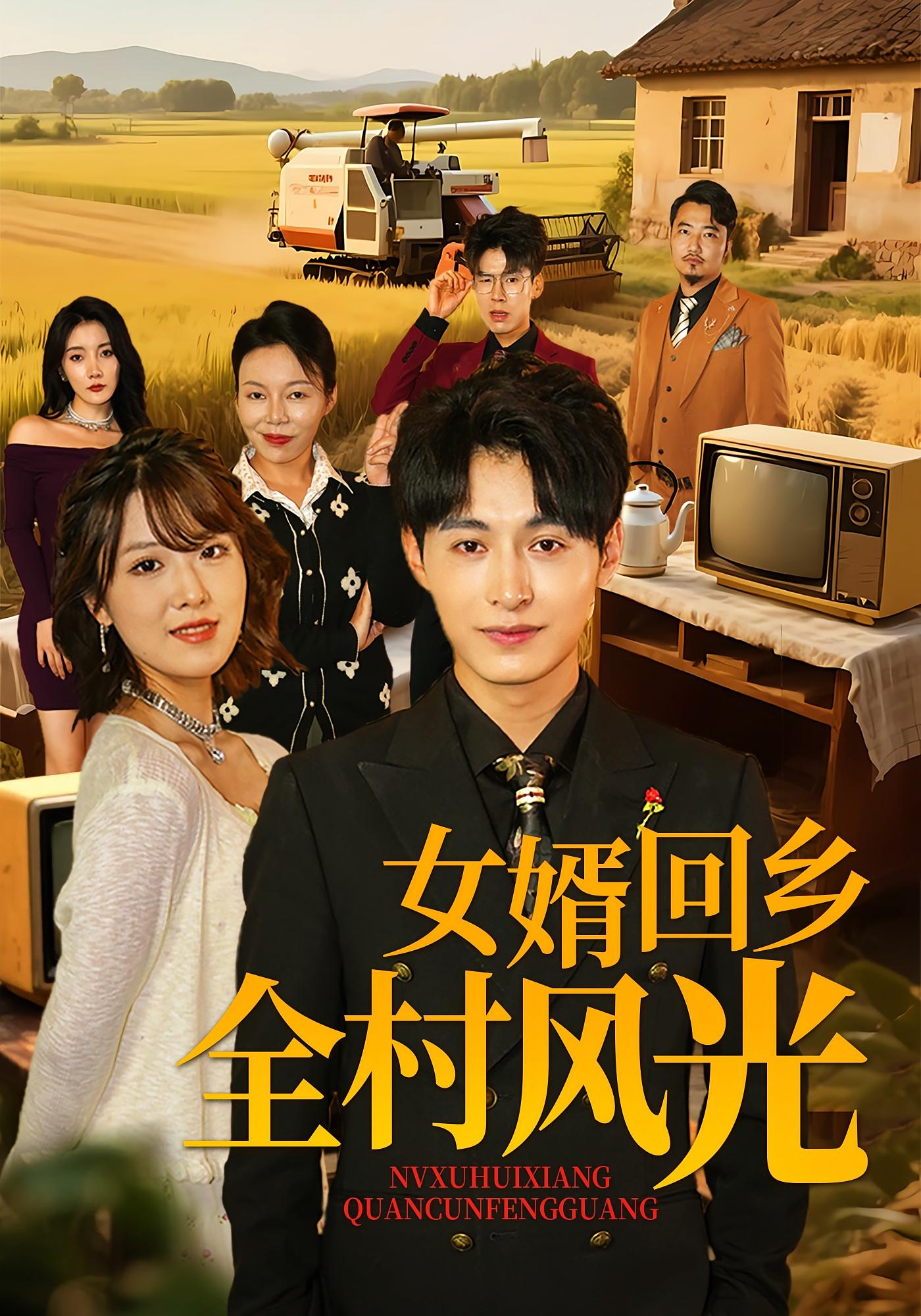 女婿回乡全村风光