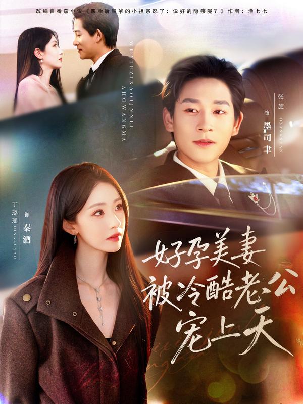 短剧好孕美妻被冷酷老公宠上天海报