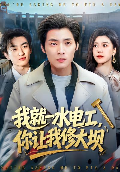 我就一水电工，你让我修大坝 - 在线观看
