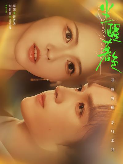 半醒暮色封面
