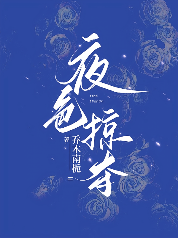 夜色掠夺