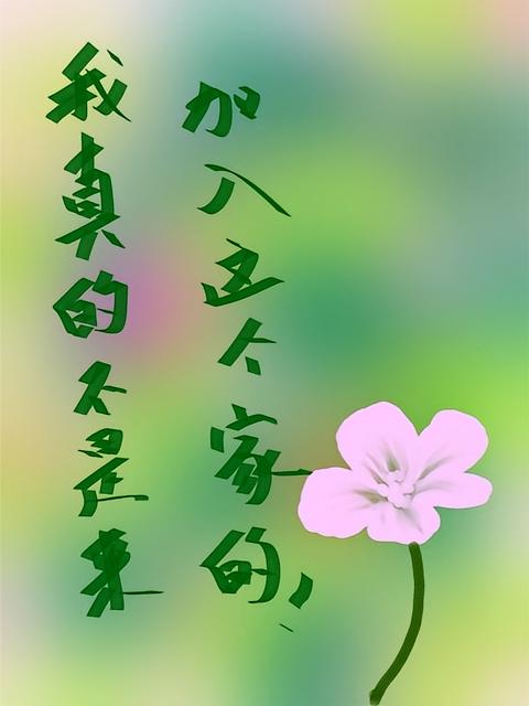 我真的不是来加入这个家的！