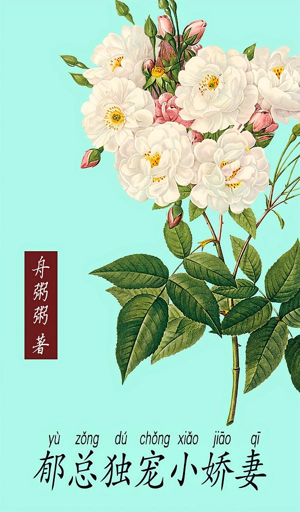 郁总独宠小娇妻