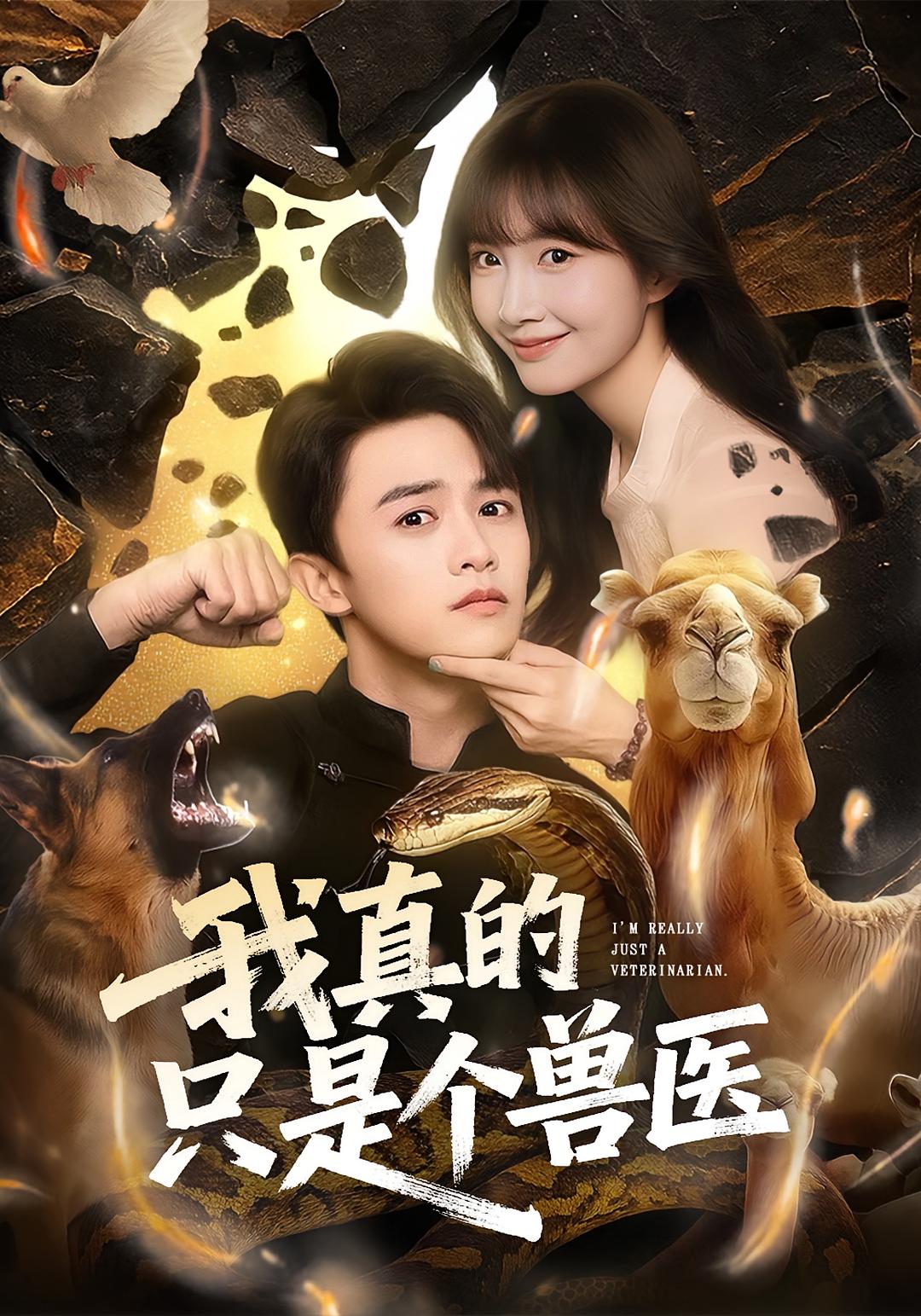 我真的只是个兽医