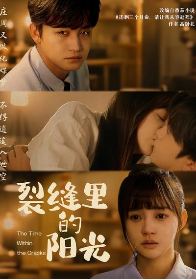 裂缝里的阳光