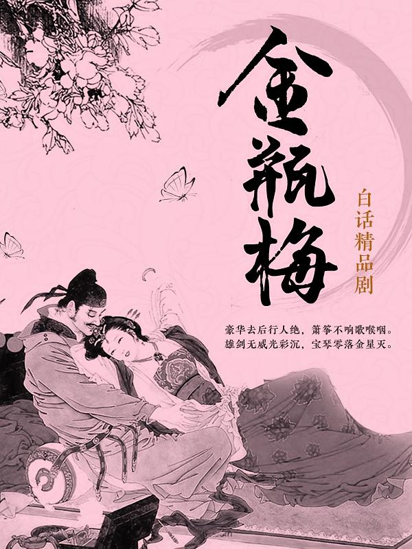 白话金瓶梅