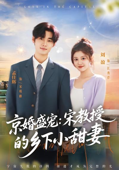 京婚盛宠：宋教授的乡下小甜妻