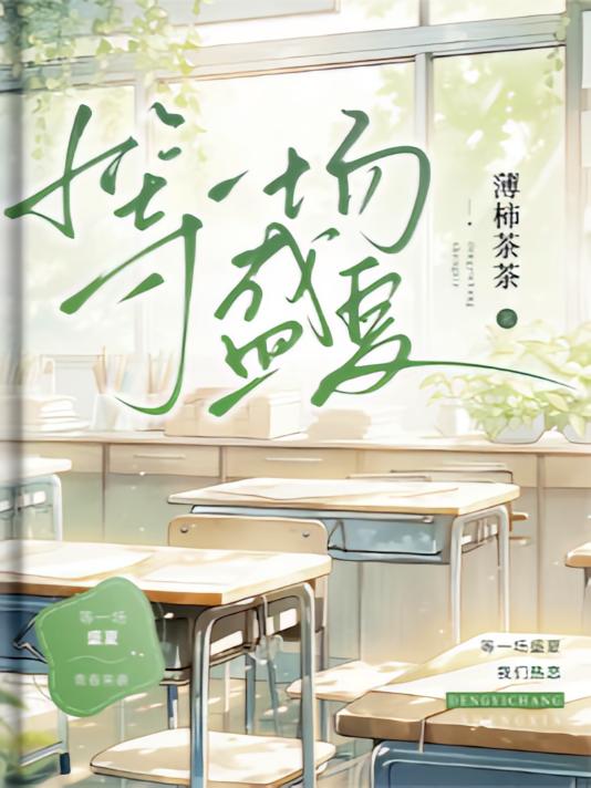 等一场盛夏