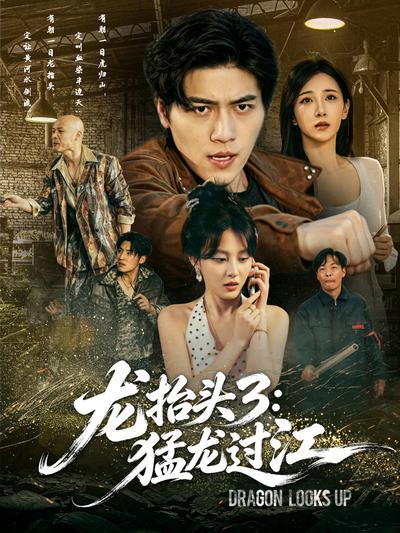 龙抬头3：猛龙过江封面