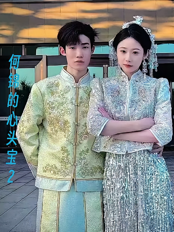 何锦的心头宝2