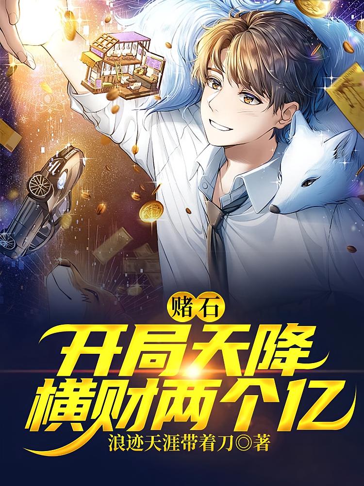 赌石：开局天降横财两个亿