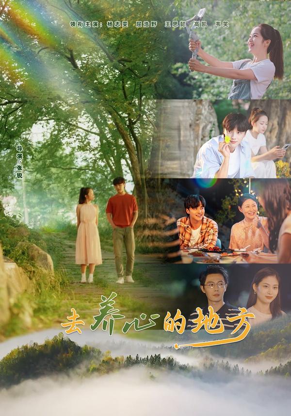 短剧《去养心的地方》海报