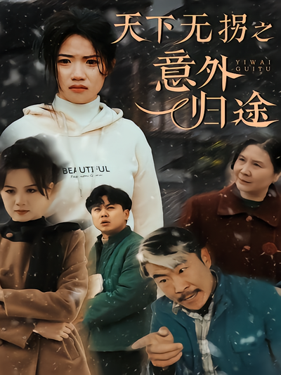 天下无拐之意外归途封面