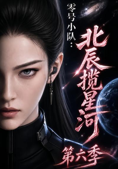 零号小队：北辰揽星河第六季封面
