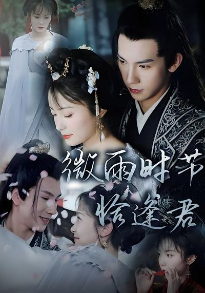 微雨时节恰逢君