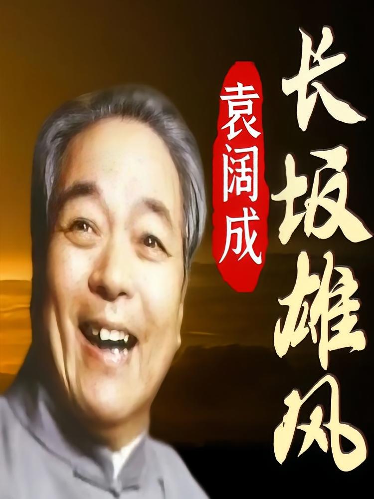 袁阔成《长坂雄风》