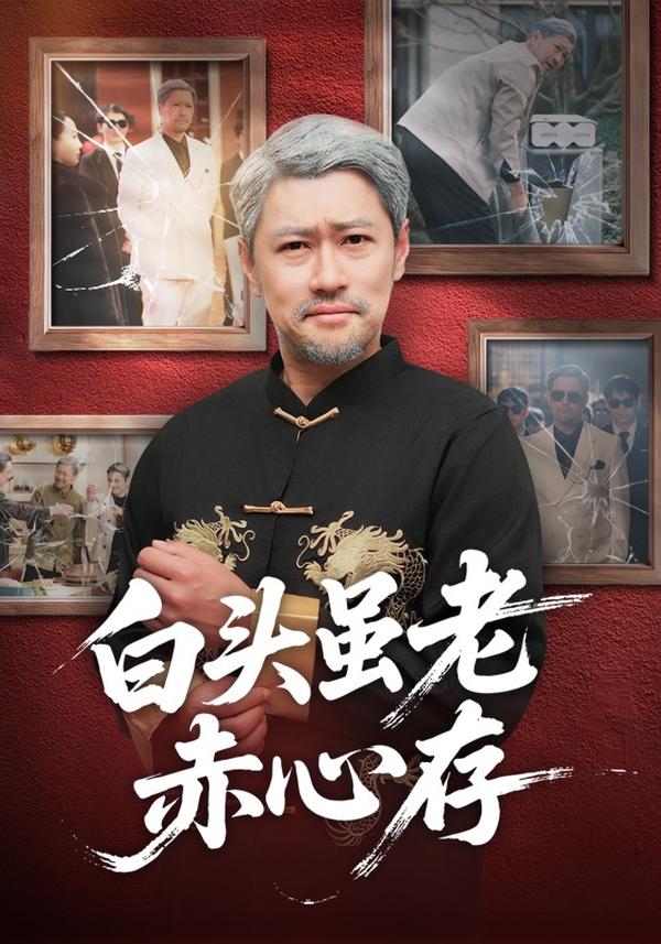 短剧白头虽老赤心存海报
