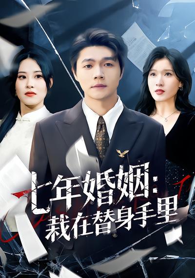 七年婚姻：栽在替身手里 - 在线观看