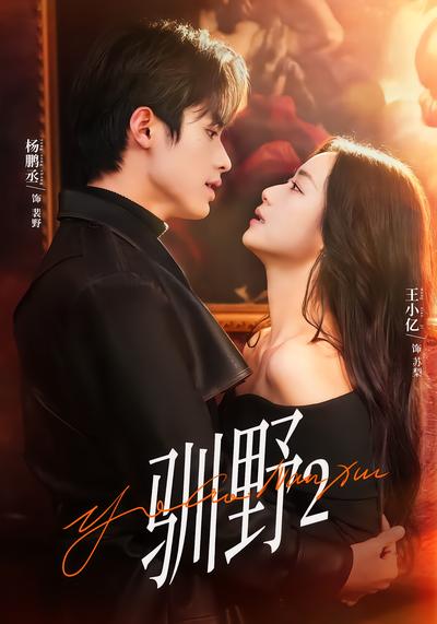 驯野2 - 在线观看