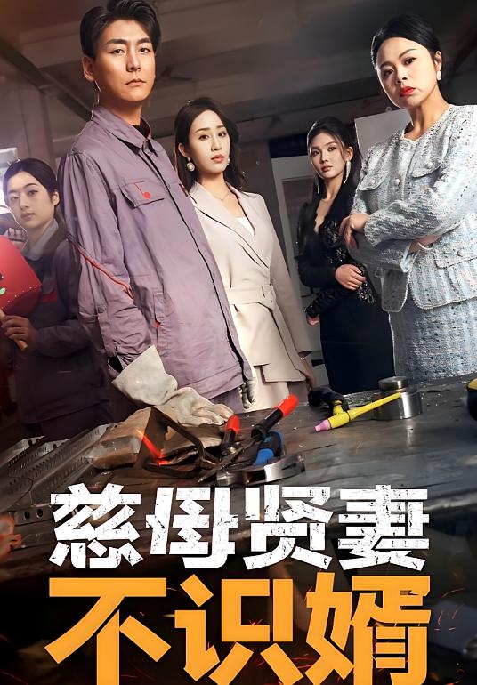 慈母贤妻不识婿