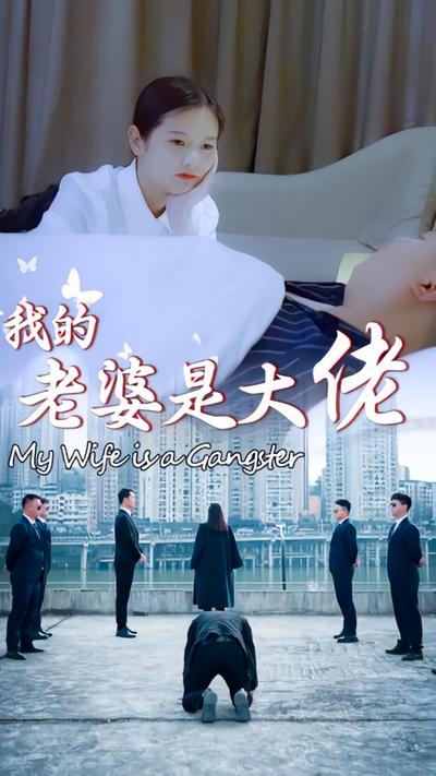 我的老婆是大佬