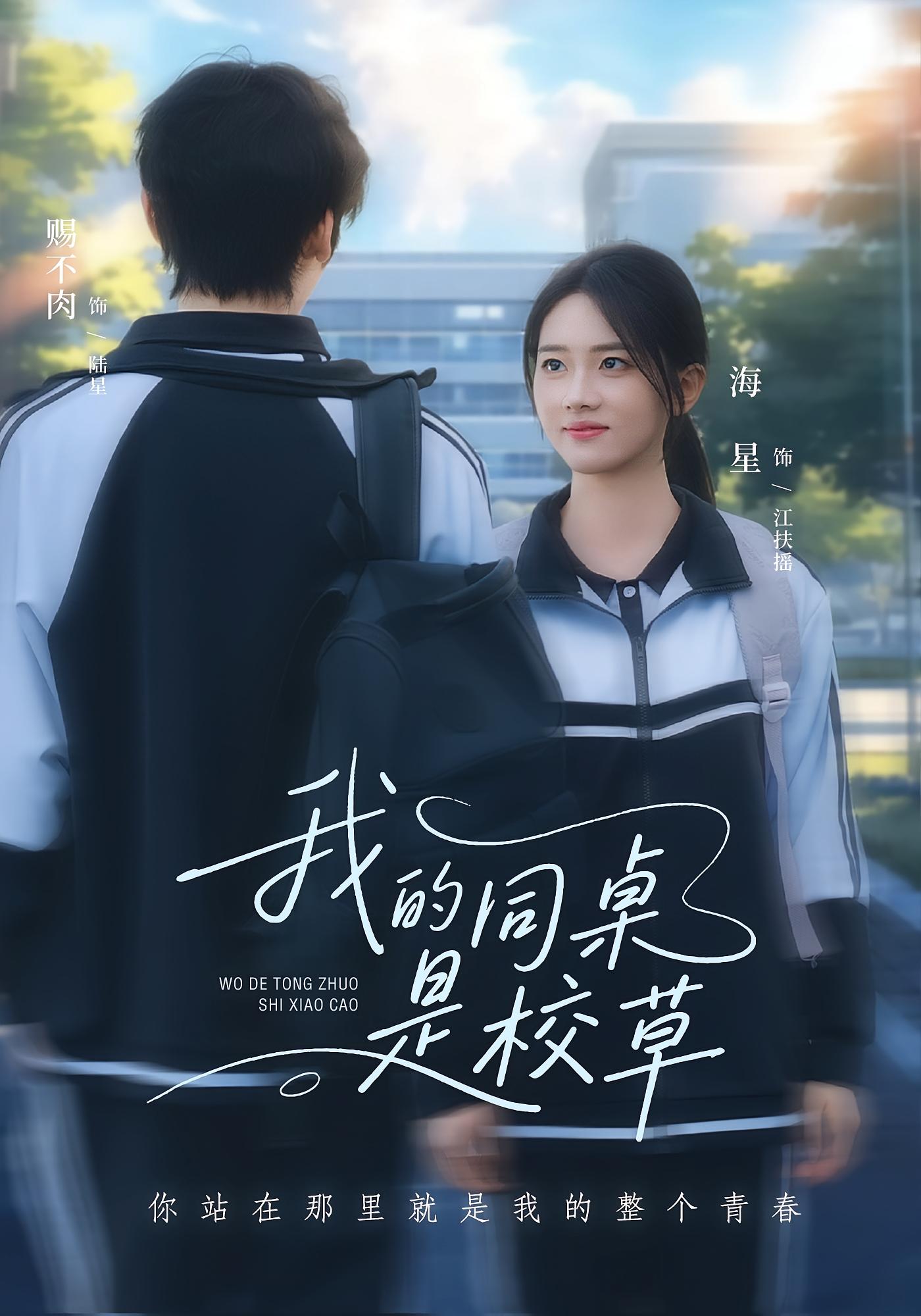 我的同桌是校草