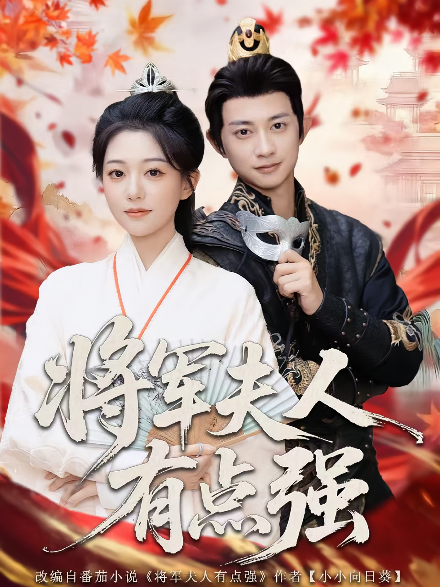 将军夫人有点强