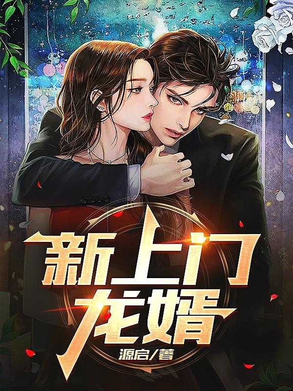 新上门龙婿