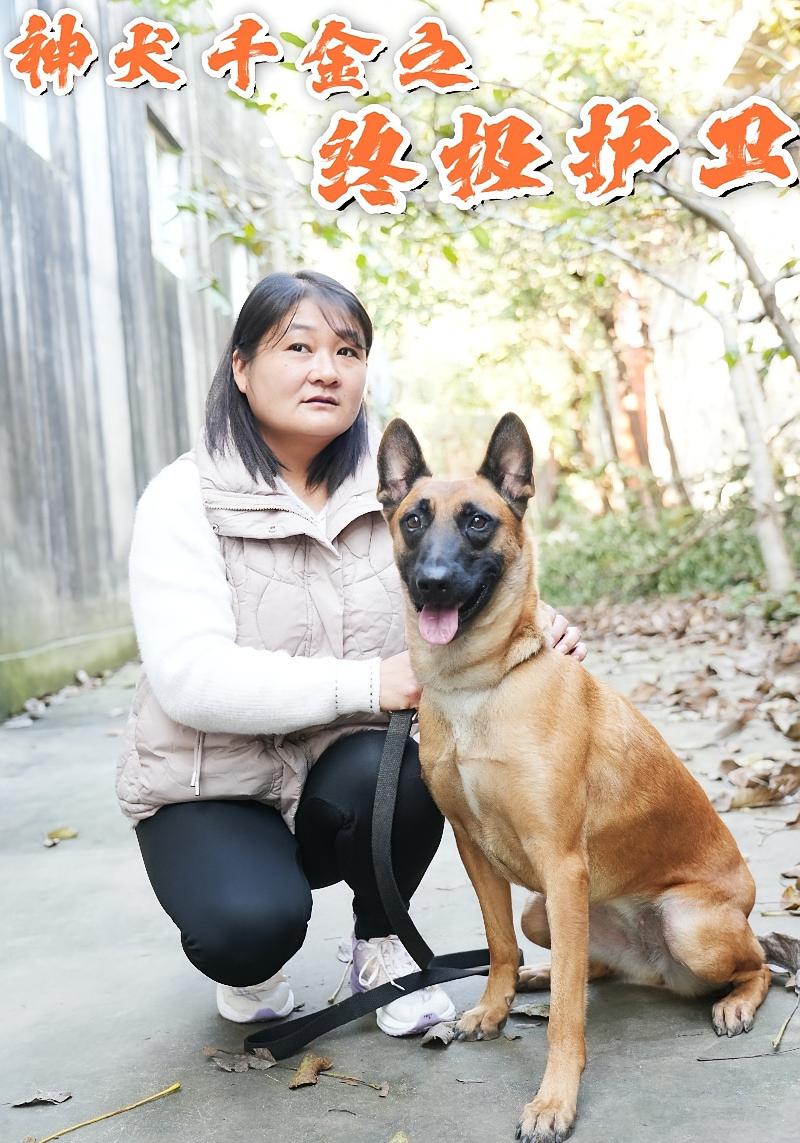 神犬千金之终极护卫