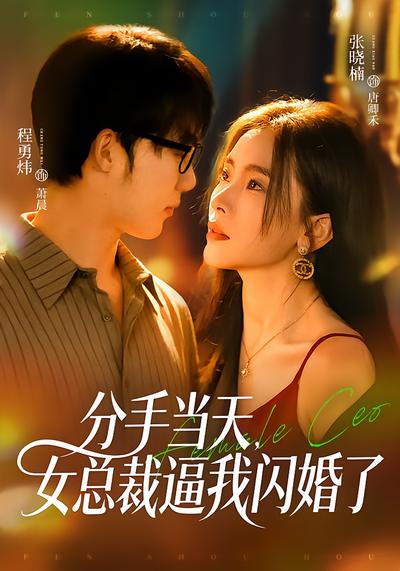 分手當天，女總裁逼我閃婚了