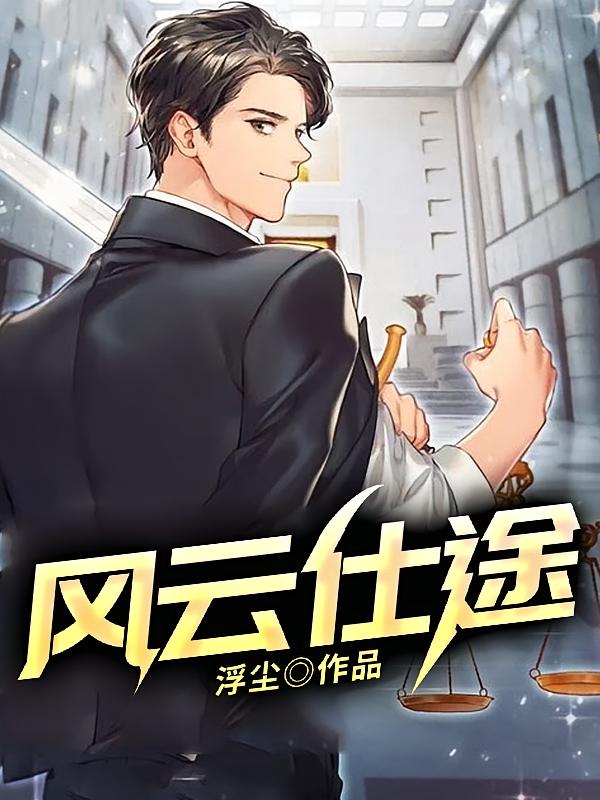 风云仕途