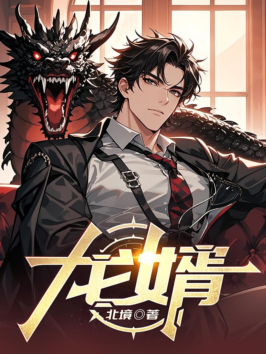 龙婿