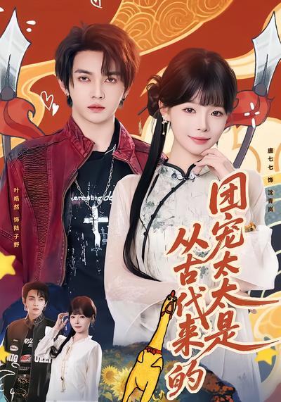 团宠太太是从古代来的 - 在线观看