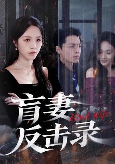 盲妻反击录