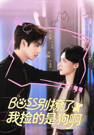 Boss别撩了，我捡的是狗啊 - 在线观看